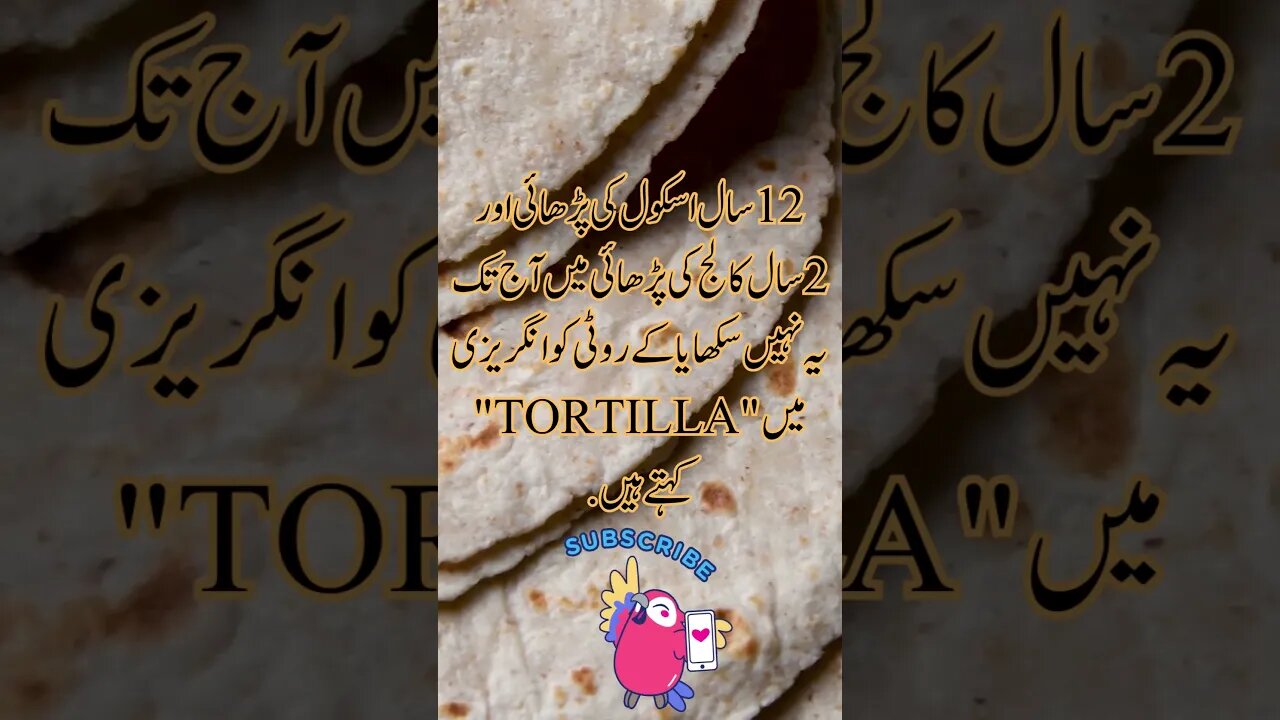 Roti in English is "Tortilla" | funny interesting facts Urdu