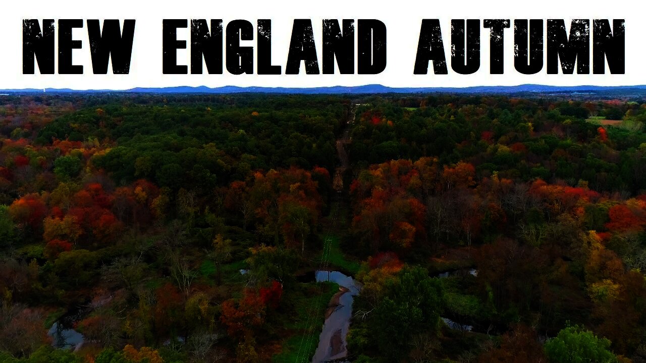 New England Fall Foliage Report 10/23/2021