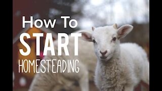 How to Start Homesteading