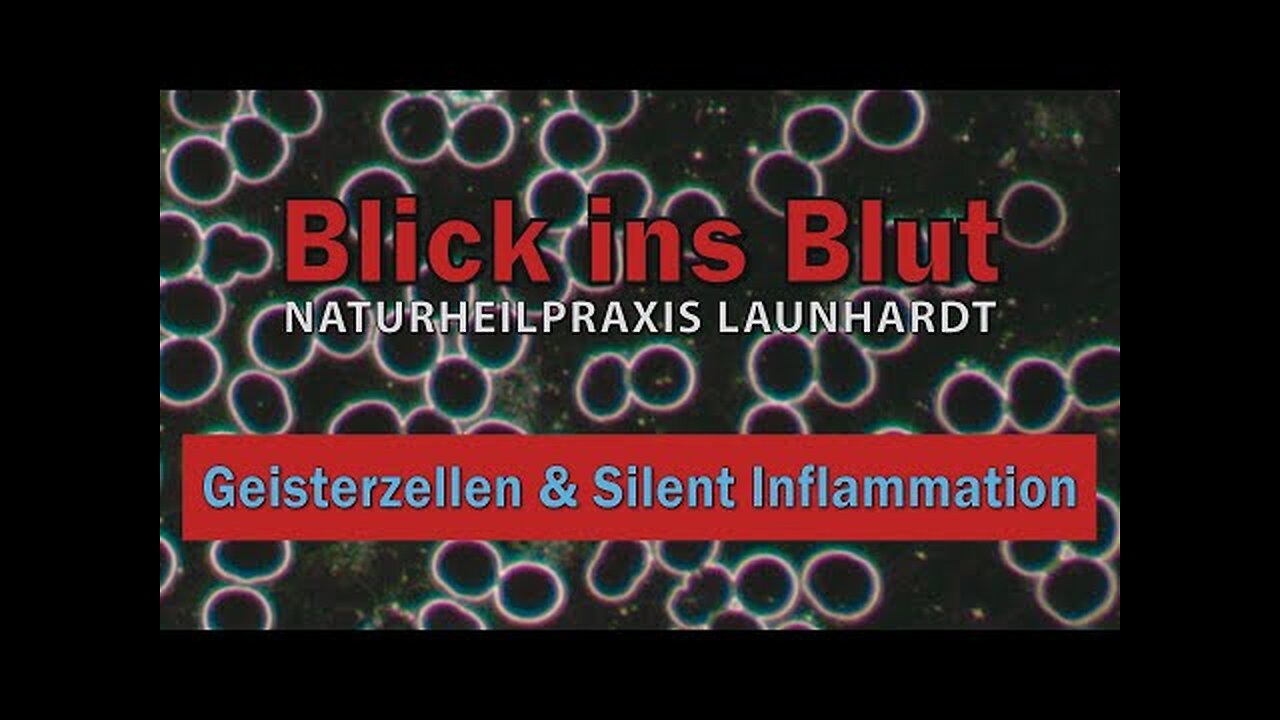 Blick ins Blut.Geisterzellen & Silent Inflammation@Naturheilpraxis Launhardt🙈