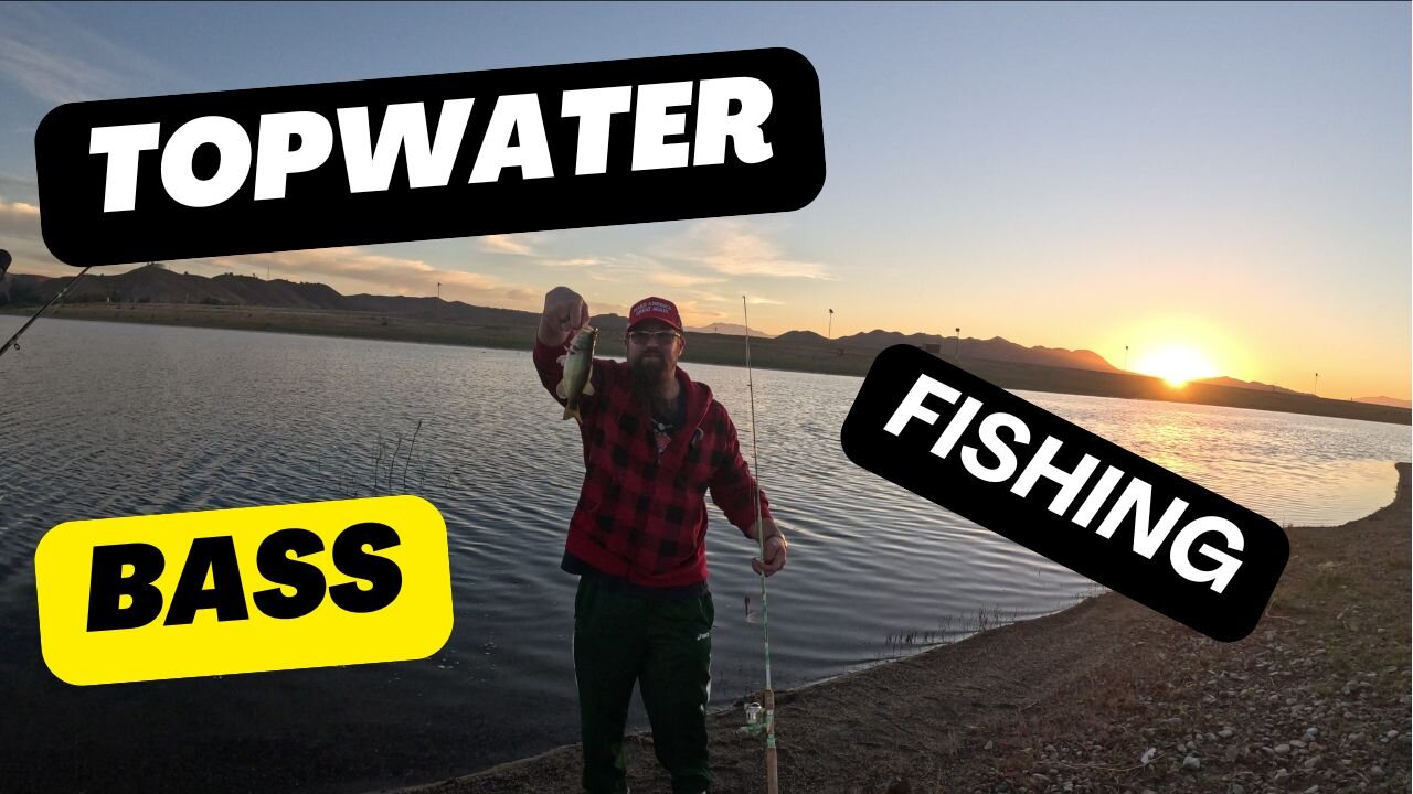 Topwater All Day | Lake Elsinore | November Fishing Report | 🎣🐟📽️