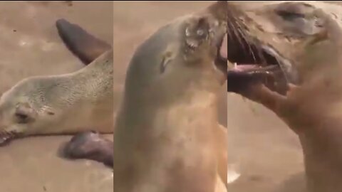 A Mother SEAL can't stop CRYING about her DEAD child.