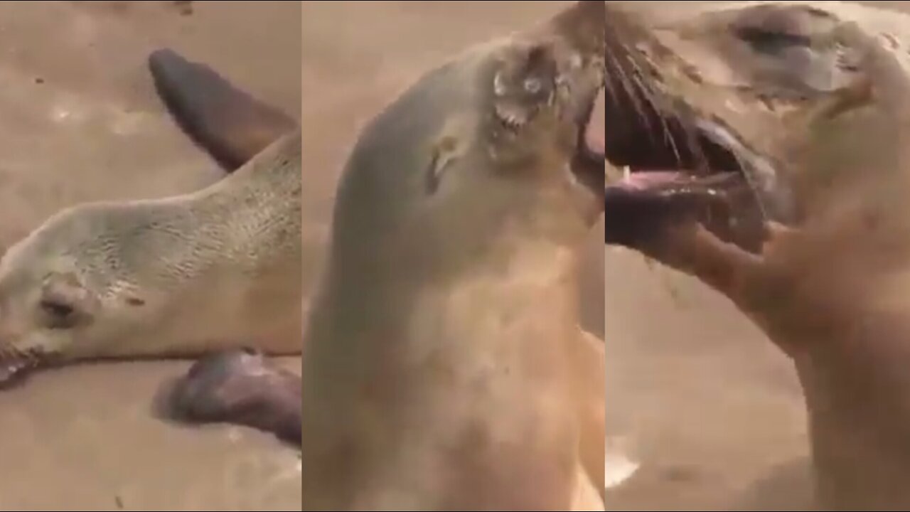 A Mother SEAL can't stop CRYING about her DEAD child.