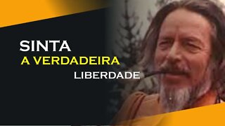 33, SINTA A LIBERDADE, ALAN WATTS DUBLADO, ECKHART TOLLE DUBLADO