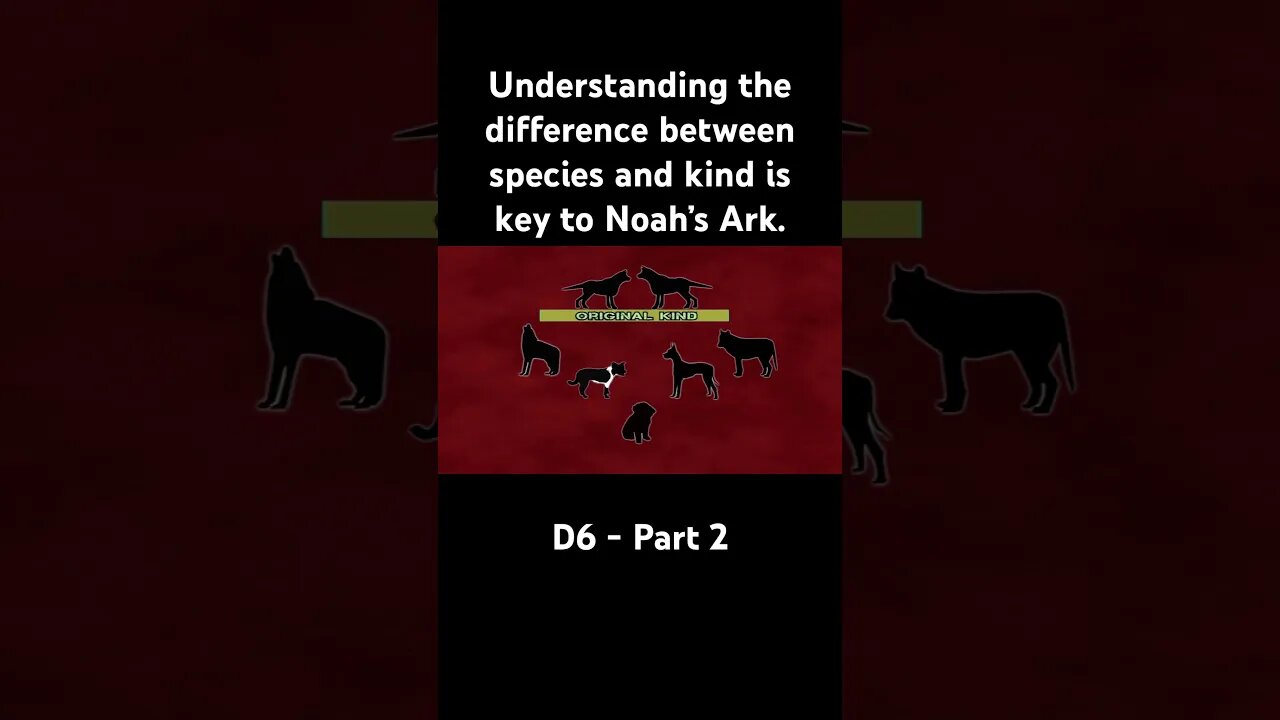 Understanding the difference between species and kind is key to Noah’s Ark. #noahsark #flood #Jesus