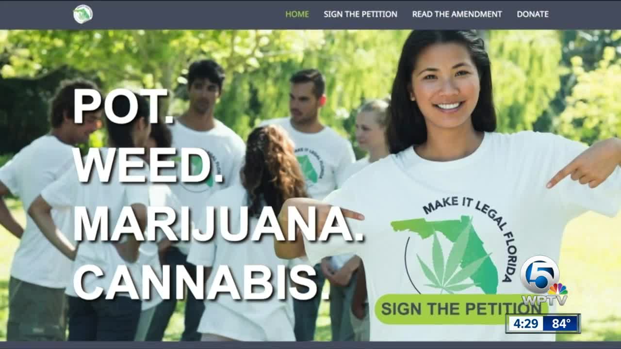 Group pushing to legalize marijuana in Florida