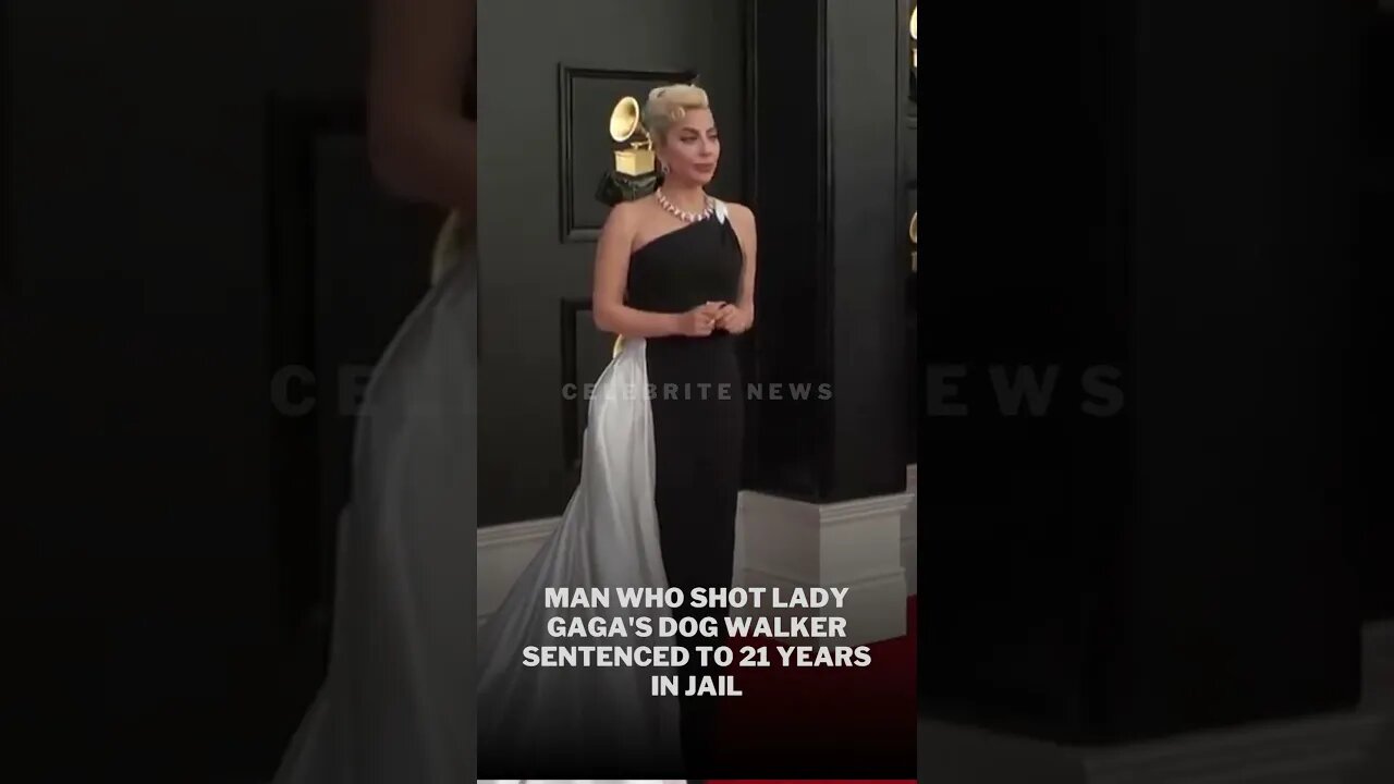 Man who shot Lady Gaga's dog