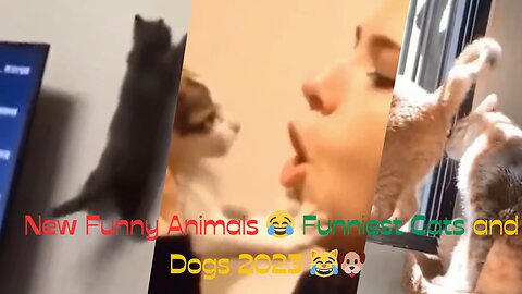 New funny animals 😂 funny cats and dogs 2023 😹🐶 must see