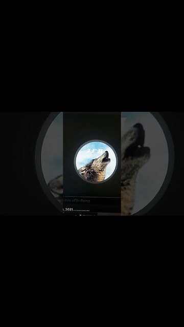 video speaks for it self