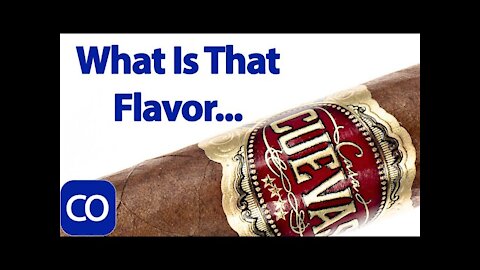 Casa Cuevas Habano Robusto Cigar Review