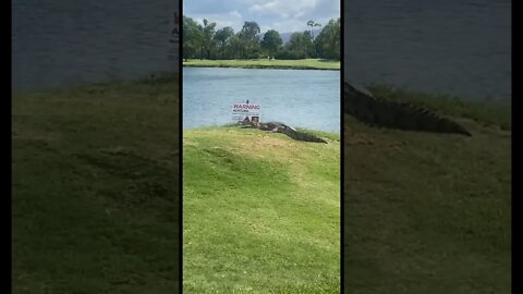 Golfing in Australia... The sign don't lie