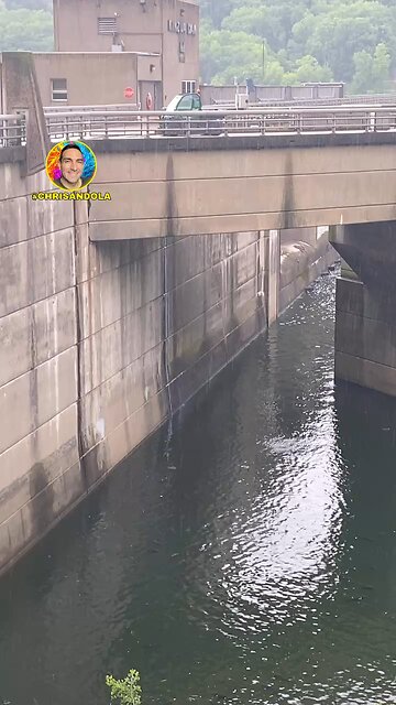 DO YOU SEE THOSE FISH?!!