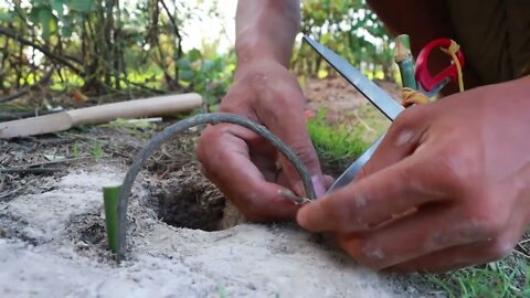 Easy Snake Trap Creative Method DIY Snake Trap Using Cutter That Work 100 10