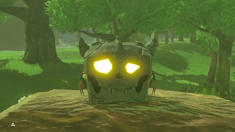 Breath of the Wild Master Mode 10