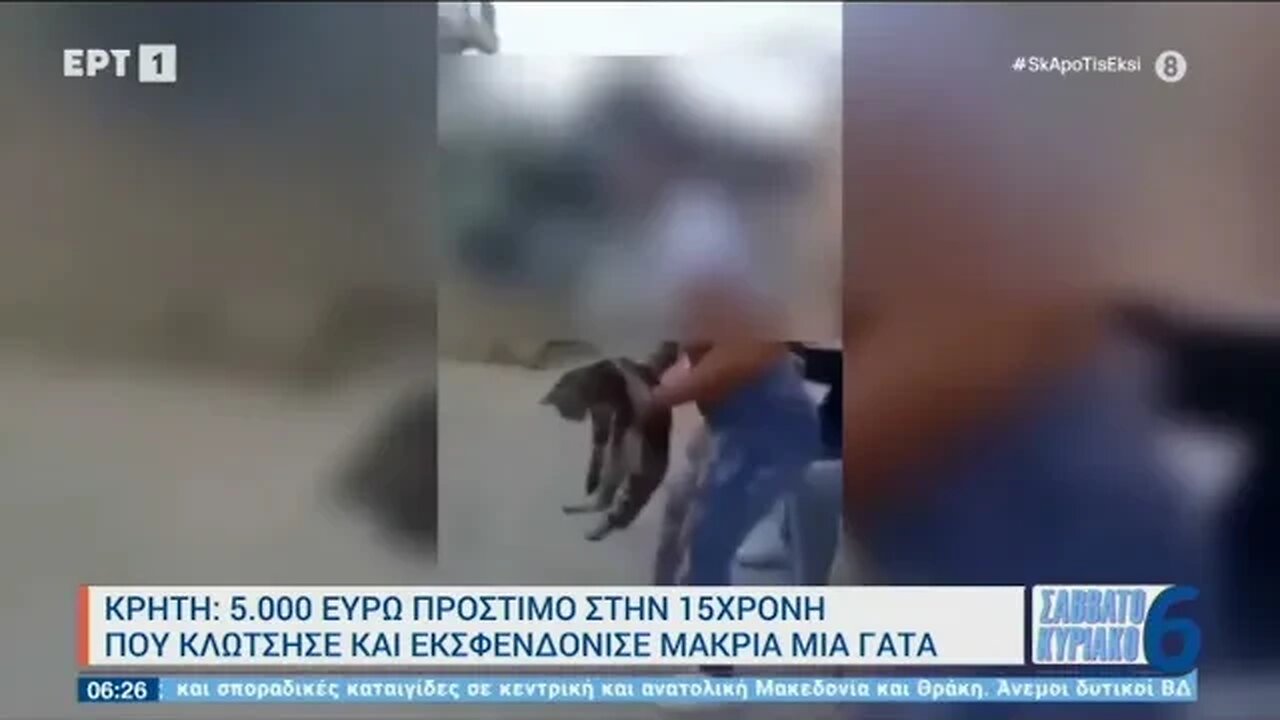 5.000 ευρώ πρόστιμο στην 15χρονη που κλώτσησε και εκσφενδόνησε μακριά μια γάτα (ΕΡΤ1, 11/9/2022)