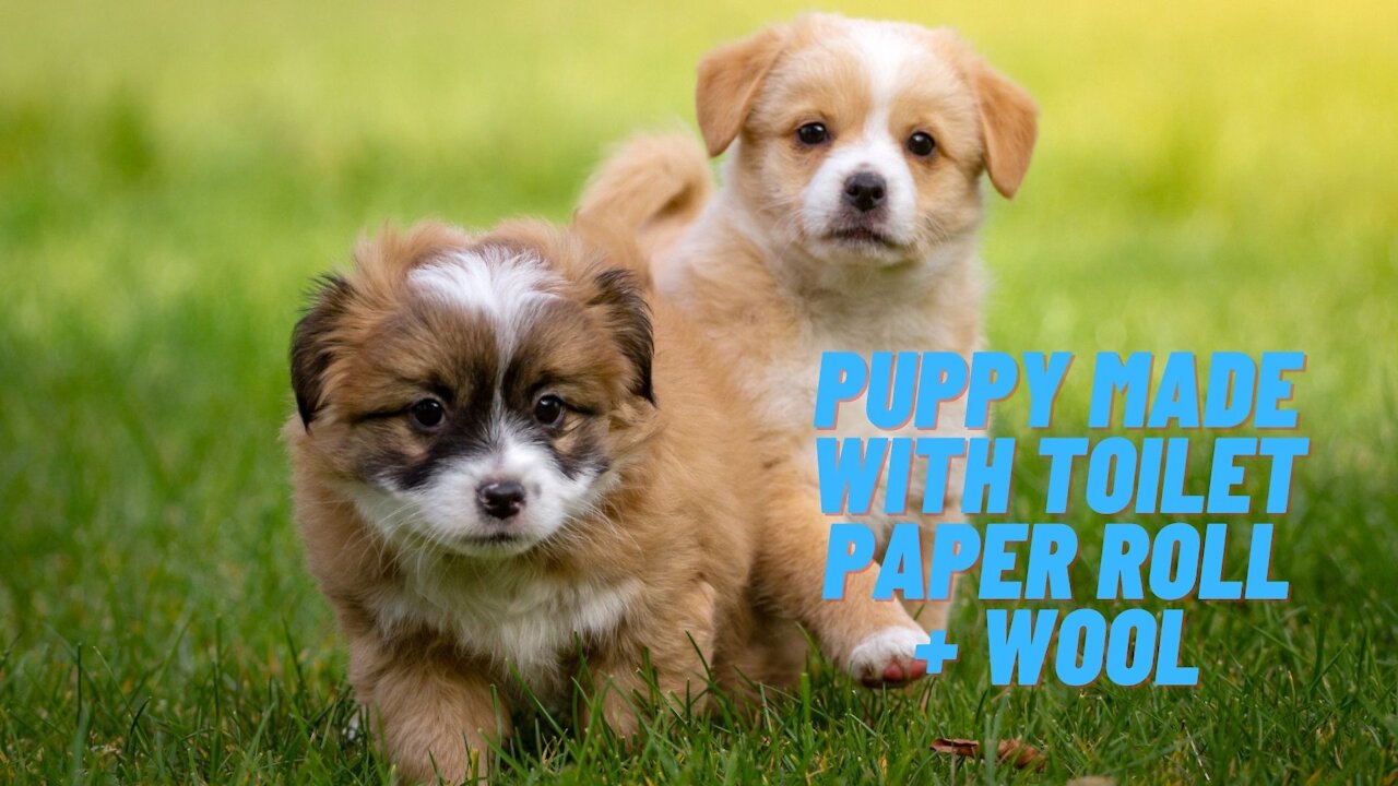 Puppies made with empty toilet paper roll and wool.