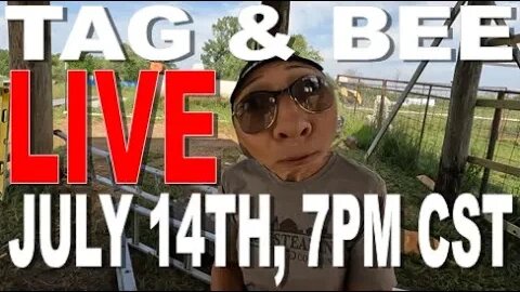 Tag and Bee LIVE