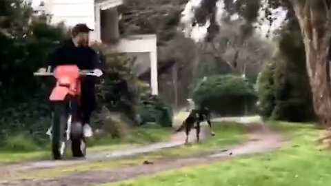 This man is running away from the dog !!?