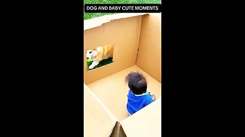 FURRY FRIENDS PLAY FETCH WITH CUTE BABY