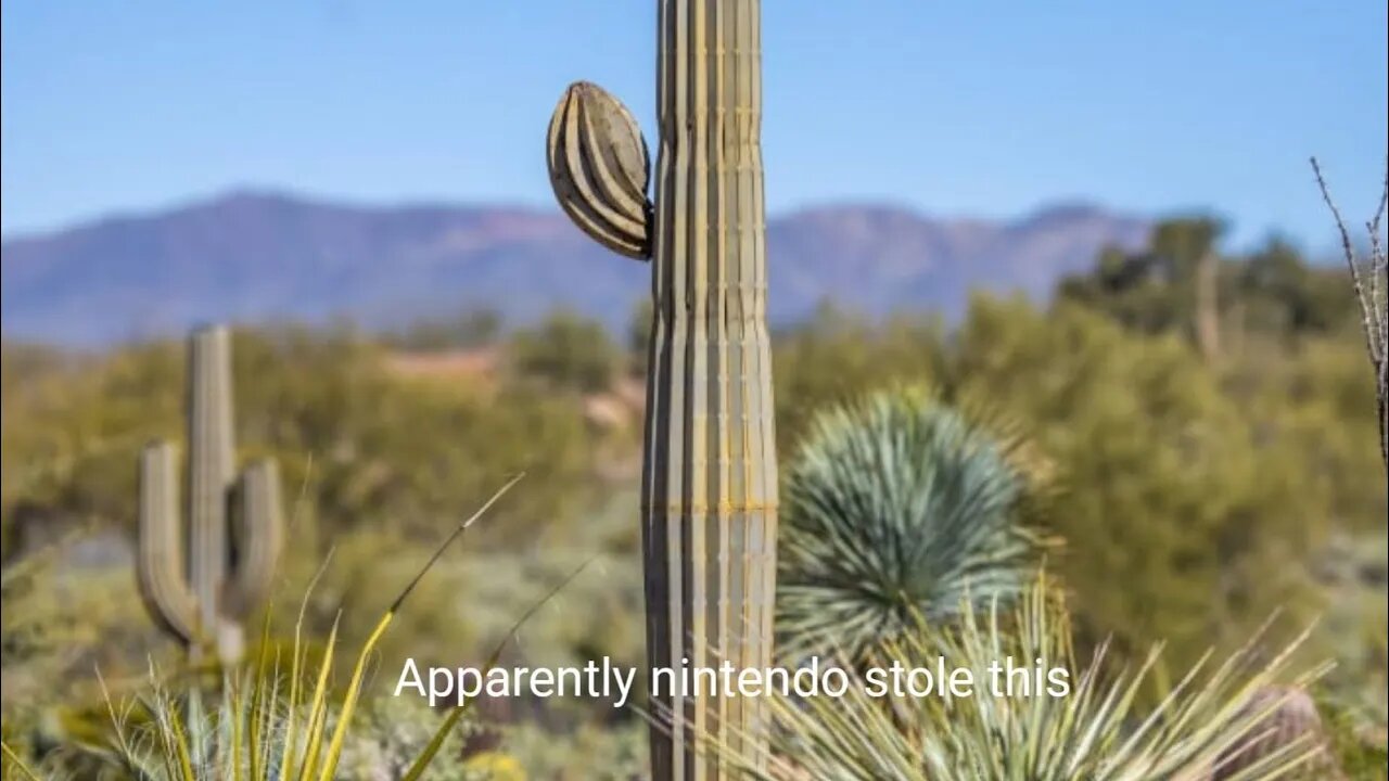 Nintendo can't use cactus in their games anymore
