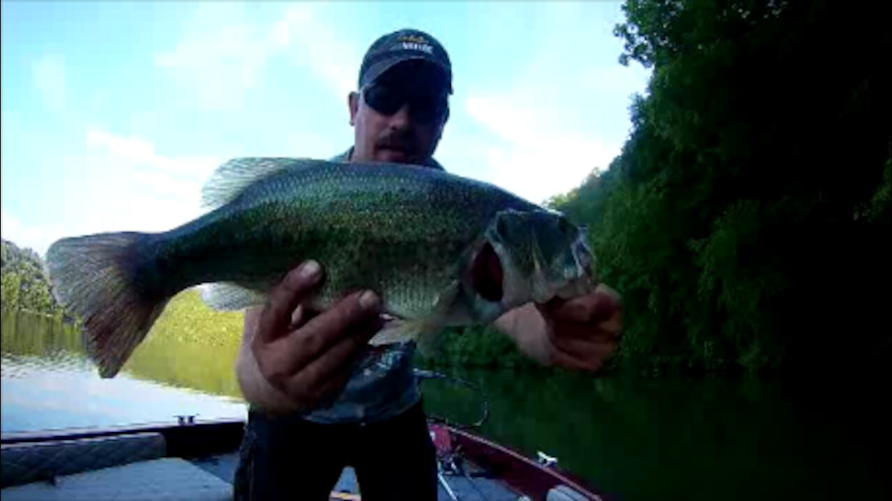 Post Spawn Bass