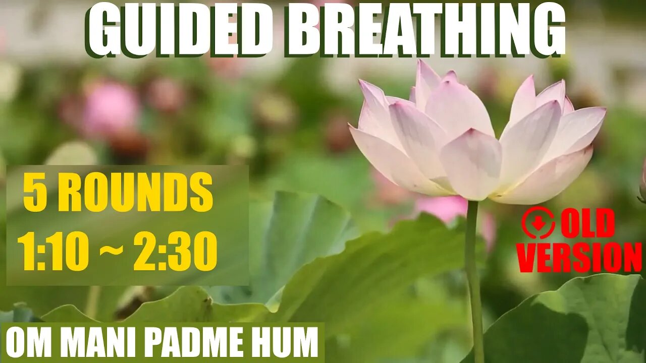 Wim Hof 5 rounds with "108 Om Mani Padme Hum": 40 breaths | steps of 20 seconds