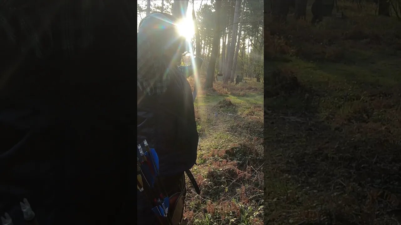 78LBS @ 28” SALUKI BOW 3D LIGHT NOCK