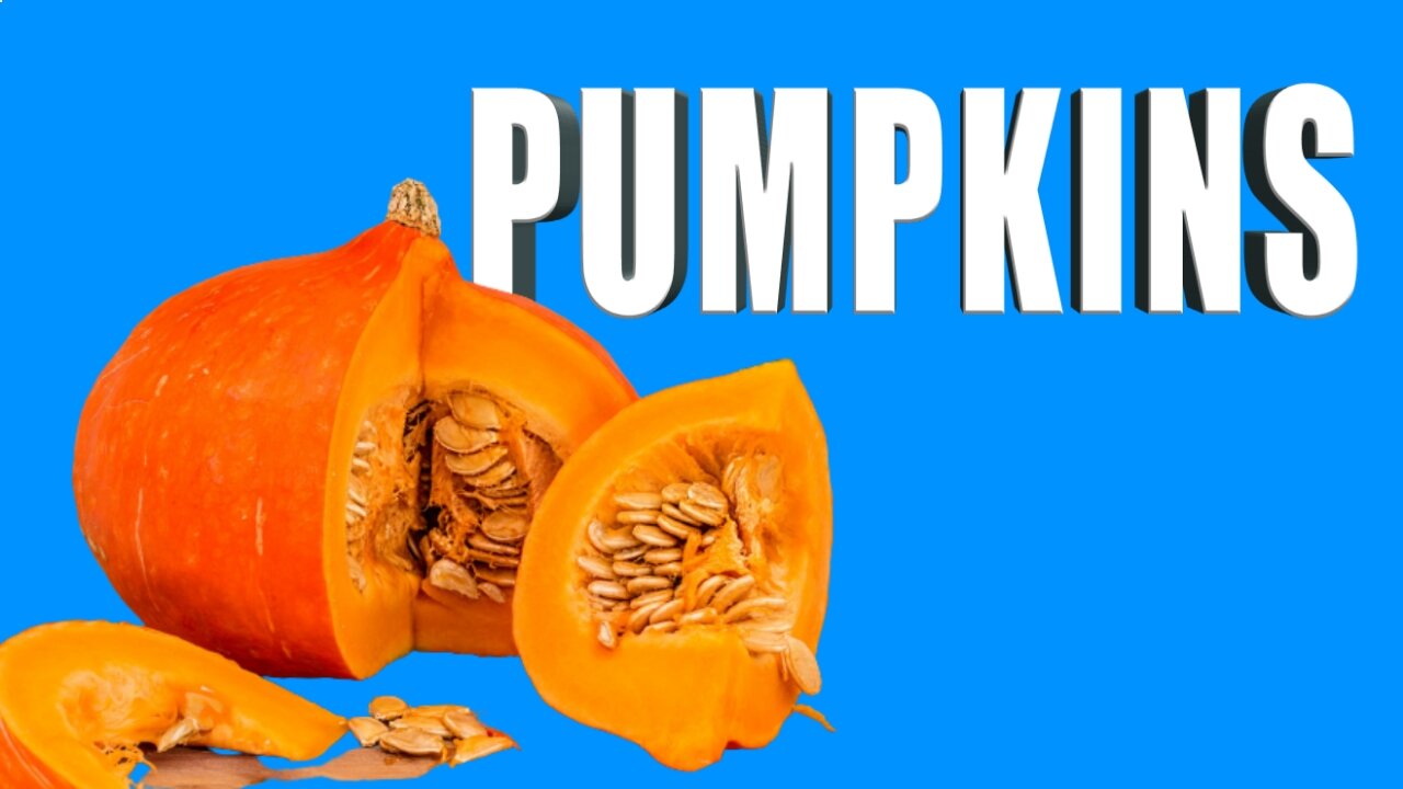 Pumpkin Patch - Learn In 4 minutes