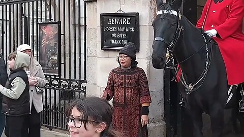 Pepole from All over the world come to horse Guards parade #horseguardsparade