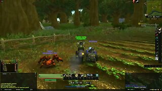 World of Warcraft Classic Young Lovers