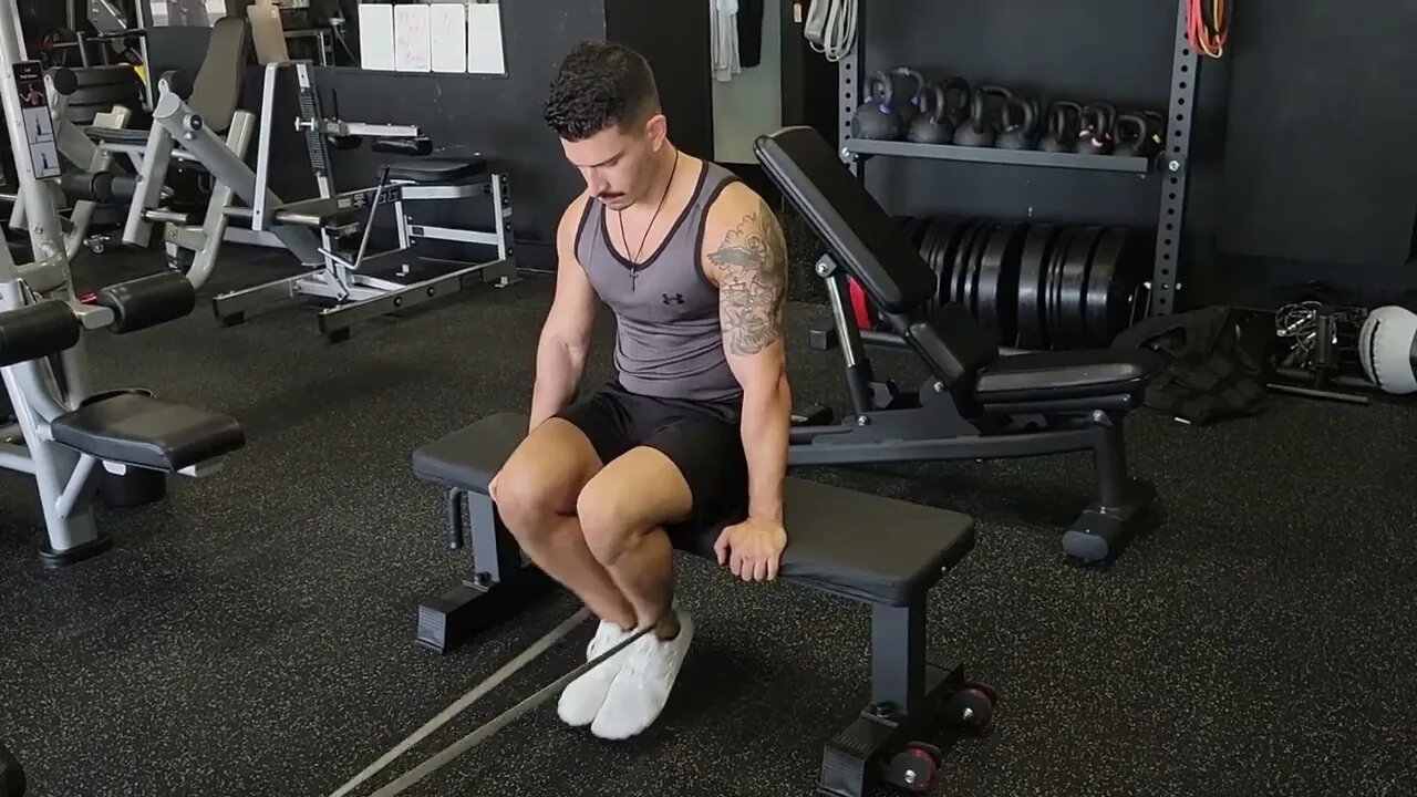 Seated Band Hamstring Curls