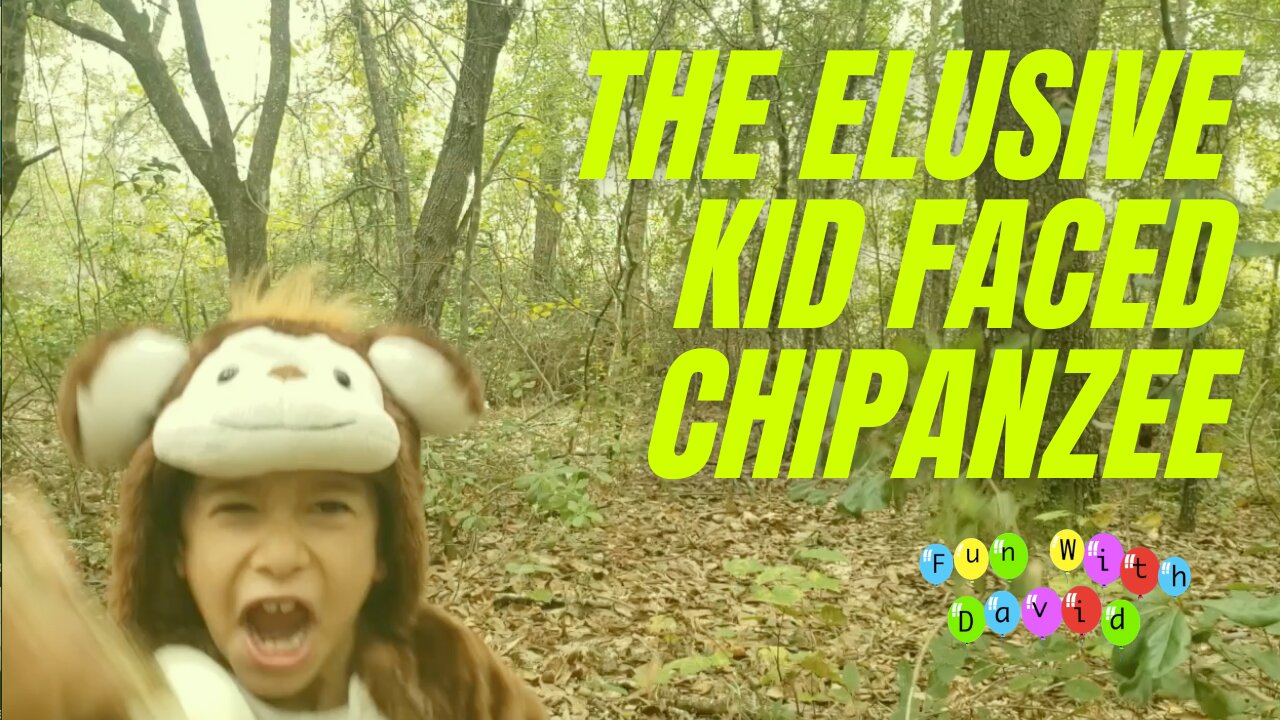 Kid Faced Chimpanzee Nature