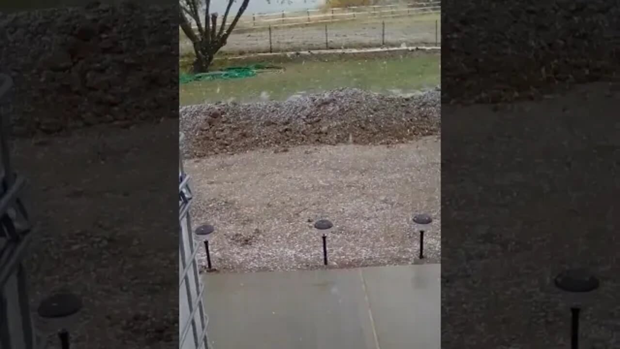 No. 805 – Second Snow Of The Season Is More Intense