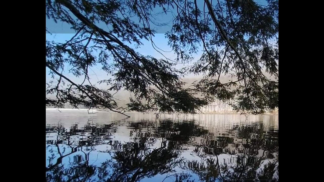 Nature Relaxation Video Announcement