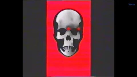 Pirates graffiti is not dead 2000 Graffiti