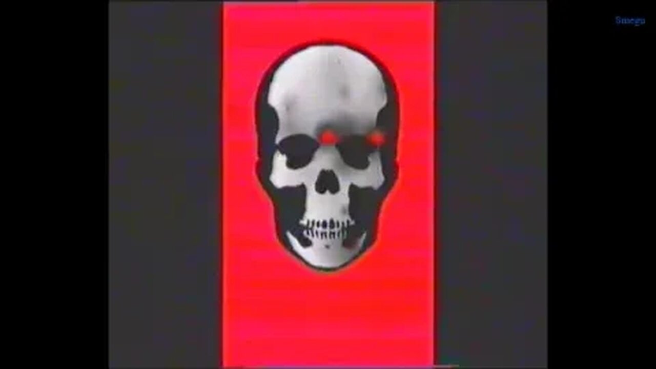 Pirates graffiti is not dead 2000 Graffiti