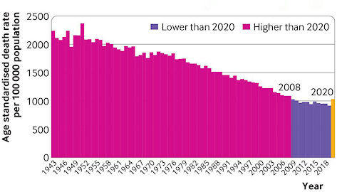 BJM Data Shows NO Excess Deaths in 2020