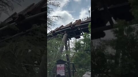 Are You Brave Enough To Ride The Hippogriff?! #shorts