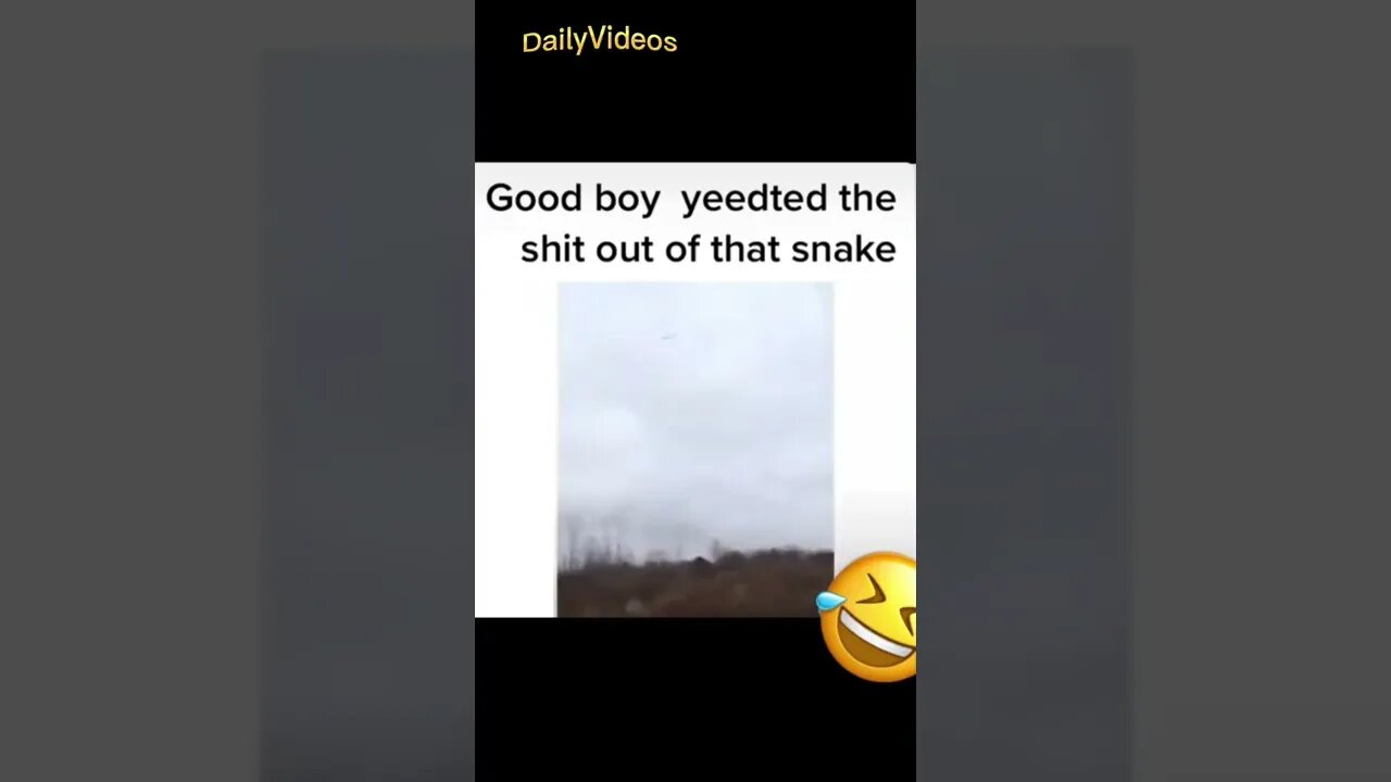 This Dog definitely had a bad experience in the past with snake's #shorts #dog