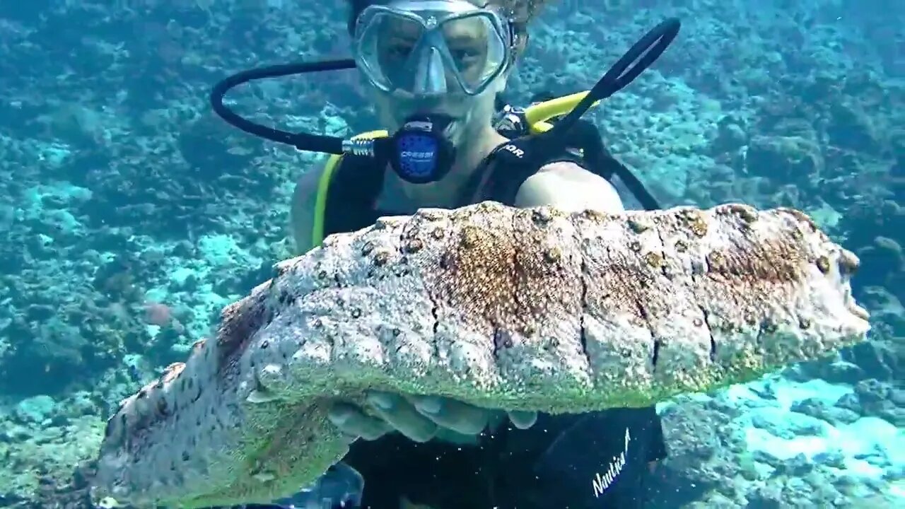 Diving and Foil Boarding in Vanuatu