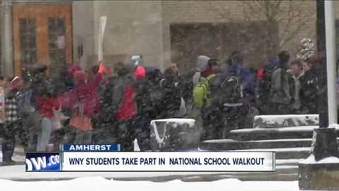 WNY schools participate in national walkout