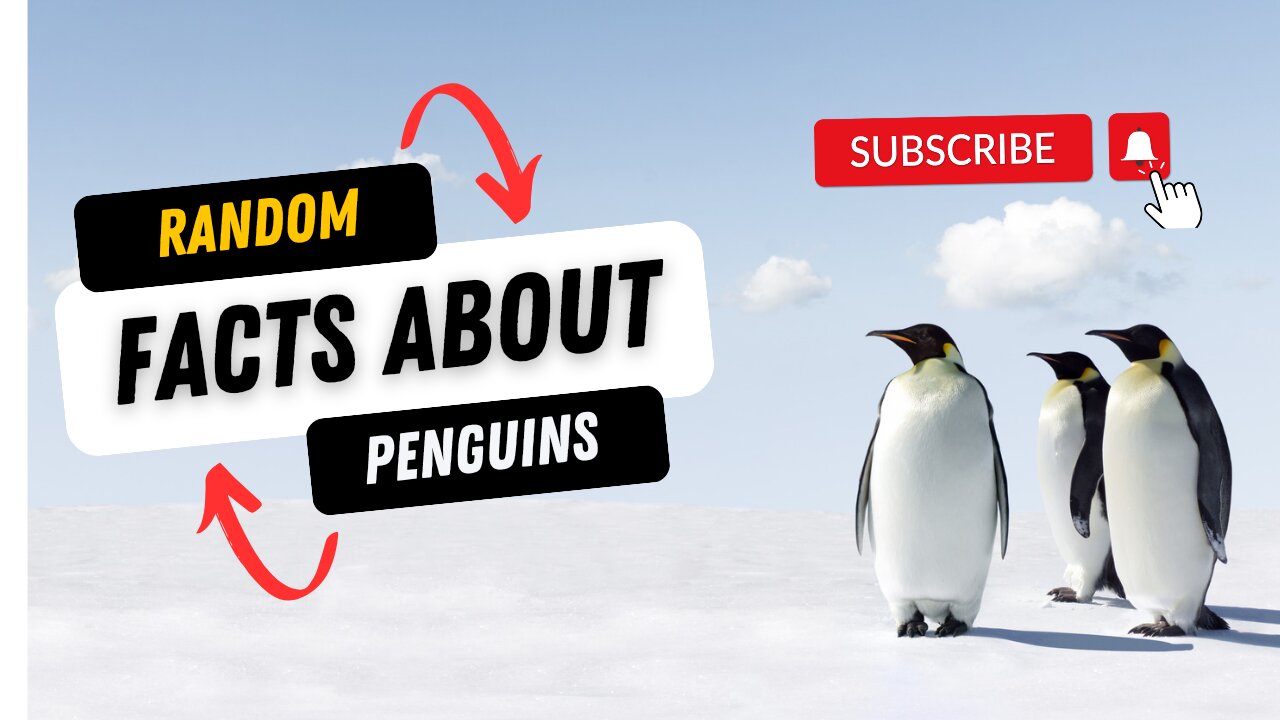 Interesting Facts About Penguins — Animal Education