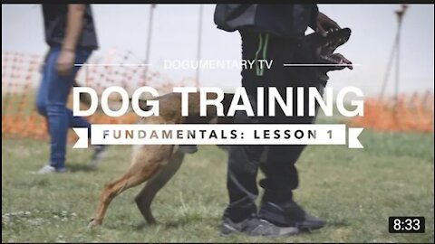 Dog training Army