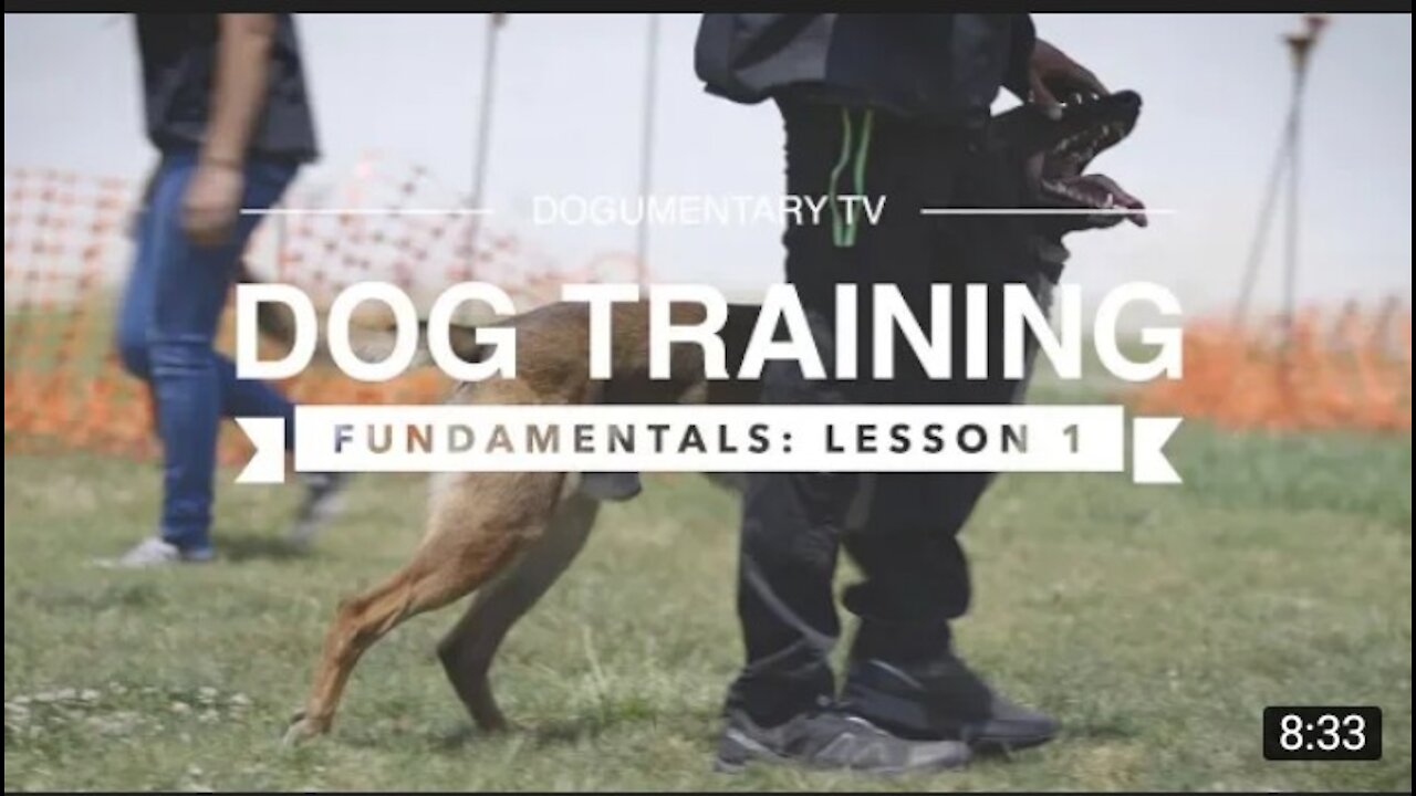 Dog training Army