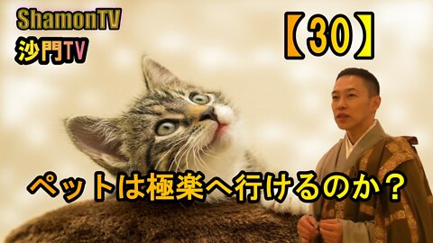 【30】ペットは極楽へ行けるのか(沙門の開け仏教の扉)法話風ザックリトーク