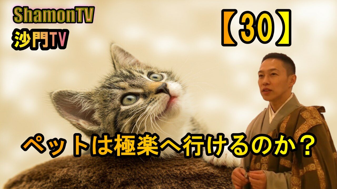 【30】ペットは極楽へ行けるのか(沙門の開け仏教の扉)法話風ザックリトーク