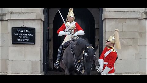 Guard checks the Horses bit #horseguardsparade