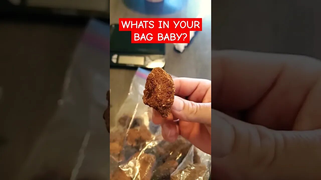 What's In Your Bag? #mushroom #chagachunkbox