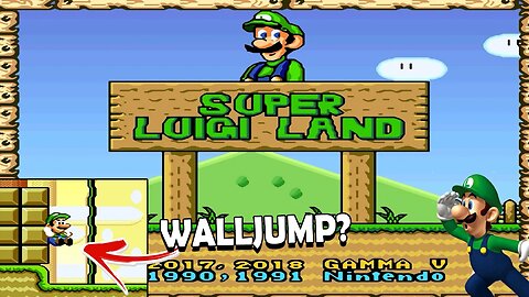 AGORA É COM O LUIGI - Super Luigi Land World