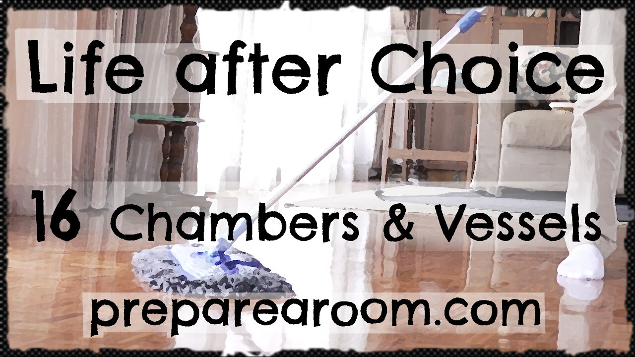 Life after Choice Video 16: Chambers & Vessels